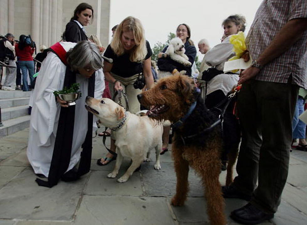 Blessing Of The Pets This Saturday
