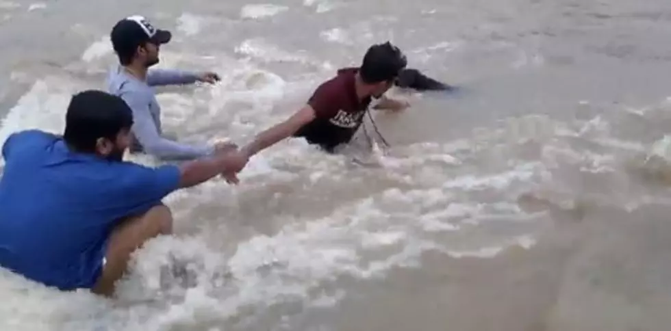 Guys Form A Chain To Save A Dog’s Life During Flood [VIDEO]