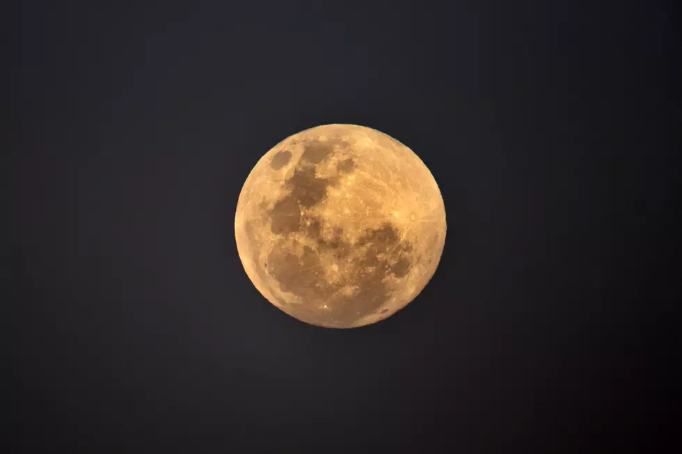 Spectacular Moon for Halloween