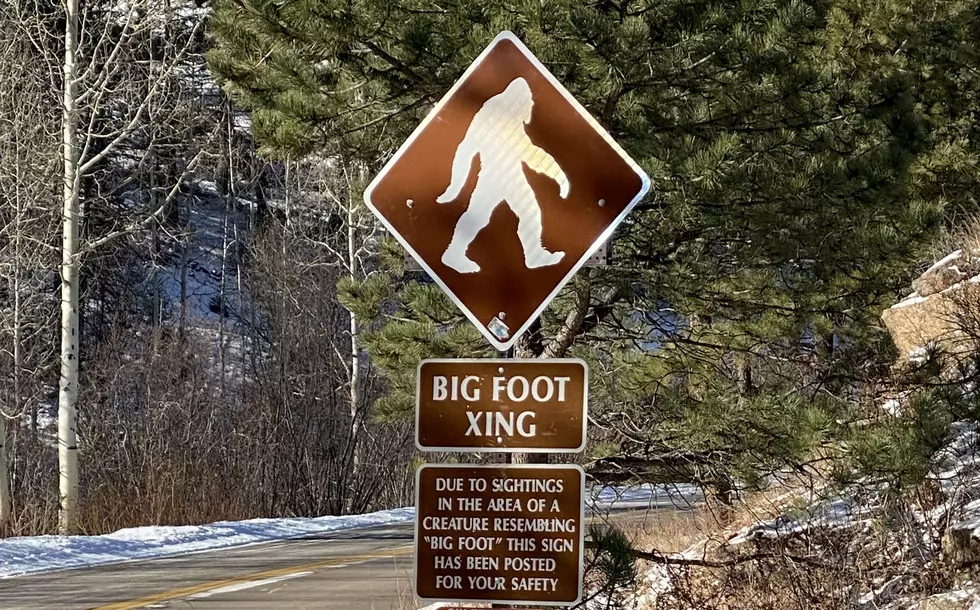 Bigfoot Hunters Believe They Got Thermal Footage of the Creature