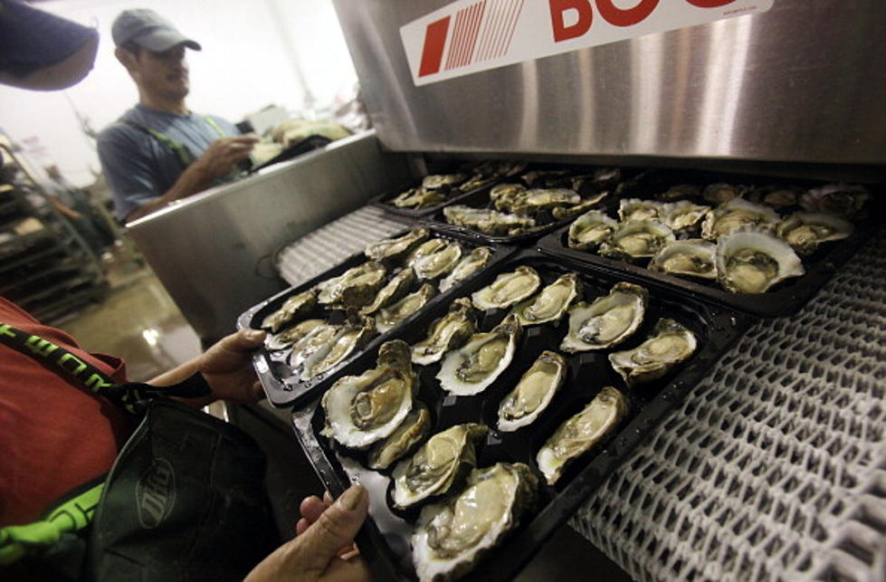 State To Close Oyster Season In 3 Public Areas