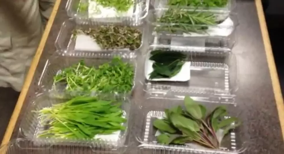 Chef Jon Soileau Shows You How Easy Fresh Herbs Are