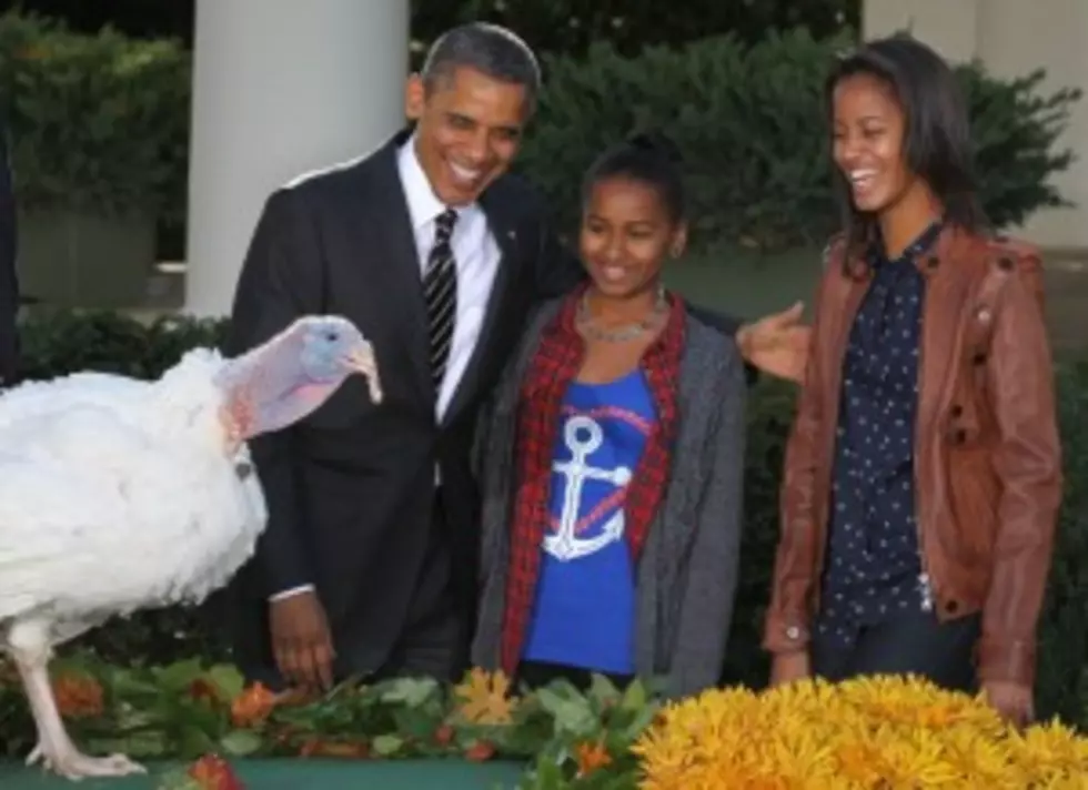PETA and Thanksgiving and President Obama
