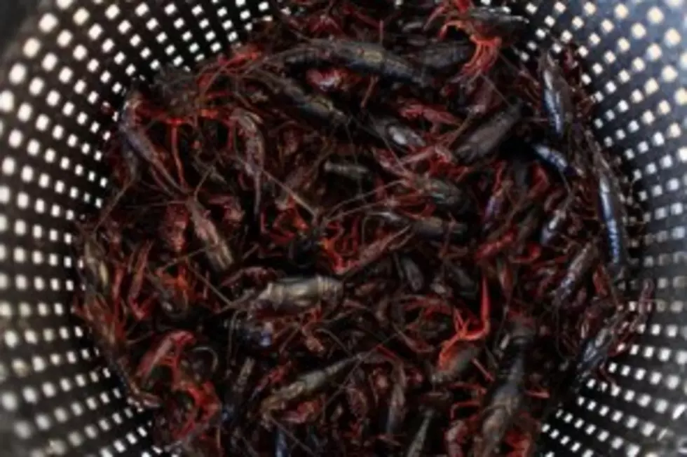 Tips For Your Crawfish Boil &#8211; Food Friday