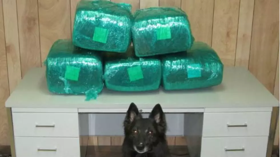 112 Pounds Of Marijuana Taken Off Streets By Drug Dog