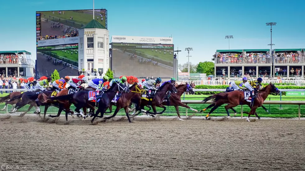 Kentucky Derby Winner Nyquist Retains Perfect Record