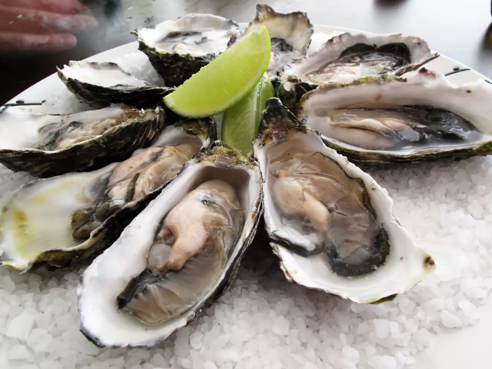 Louisiana Takes Step To Save Coast, Oyster Industry