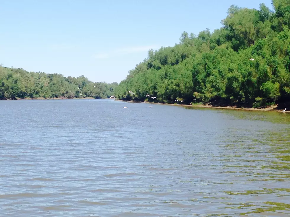 Man Arrested on DWI and Drug Charges While Illegally Crawfishing in the Atchafalaya Basin
