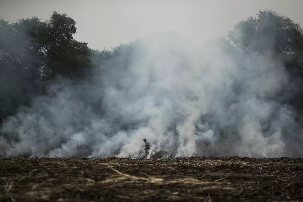 Houma Representative Wants to Form Task Force to Look at Field Burning in Louisiana