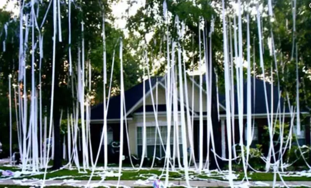 Church Point Police Chief: Toilet Papering and Egging &#8220;No Longer&#8230;Fun Prank(s),&#8221; Warns of Arrests