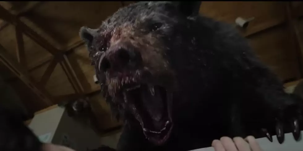 Movie Trailer for ‘Cocaine Bear’ Promises Humor, Horror, and Gore