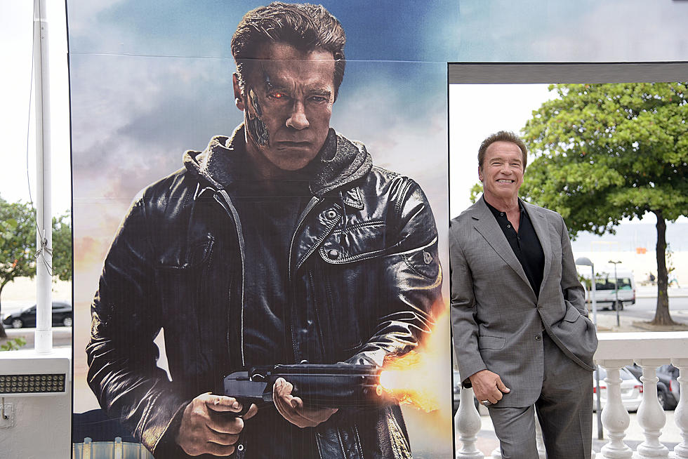 Arnold Schwarzenegger Terminates Pothole on His Street