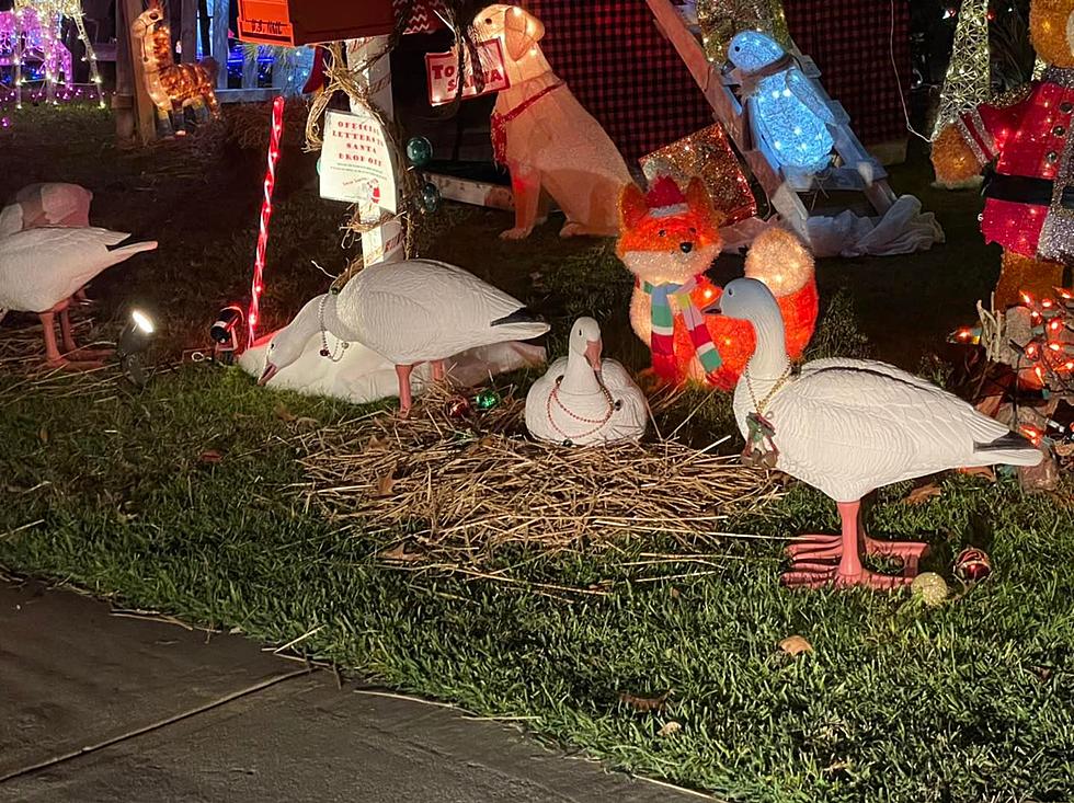 &#8220;12 Yards of Christmas&#8221; Takes the Guess Work Out of Enjoying Lighted Displays in Lafayette, Louisiana