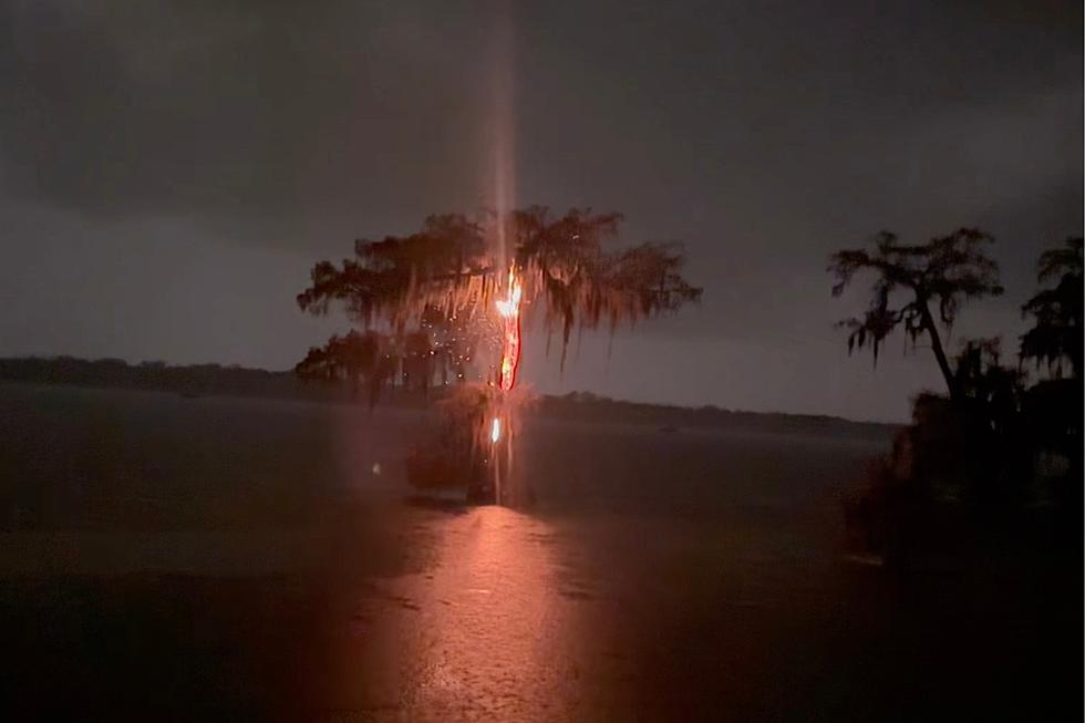 South Louisiana’s ‘Iconic’ Cypress Tree at Lake Martin Catches Fire After Being Struck by Lightning