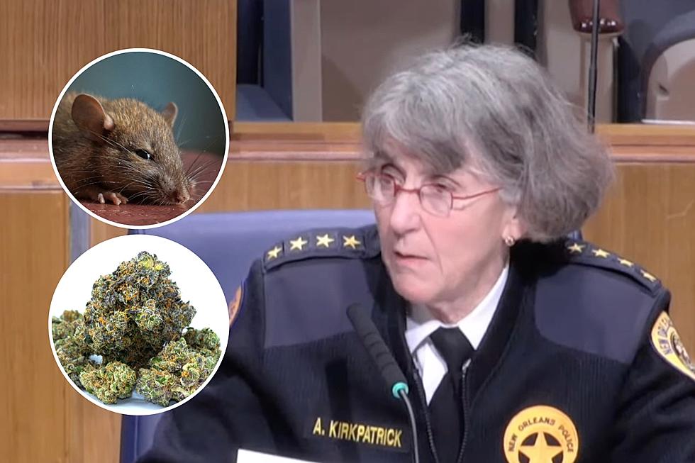 Rats Eating Marijuana in Louisiana Police Station Evidence Room