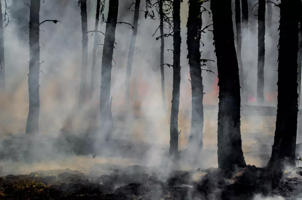 Louisiana Currently Has 2 Major Wildfires Still Burning