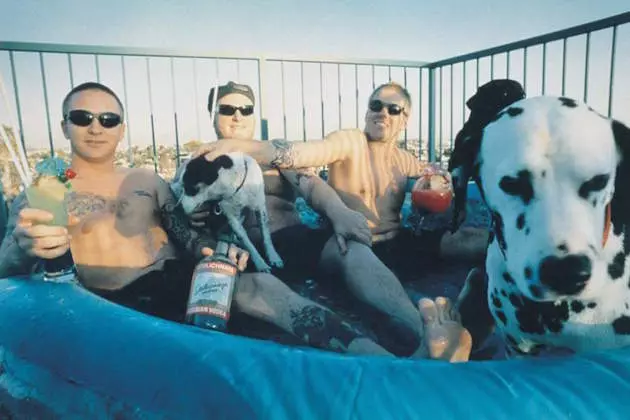 Sublime in Talks for Biopic, Prepping Documentary + &#8217;40 Oz. to Freedom&#8217; Lager