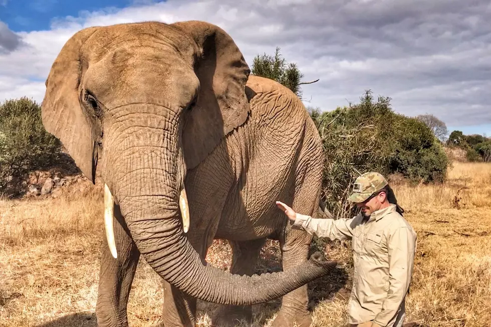Five Finger Death Punch’s Zoltan Bathory Teams With U.S. Veterans to Fight Elephant + Rhino Poachers in Africa [Exclusive Interview + Photos]