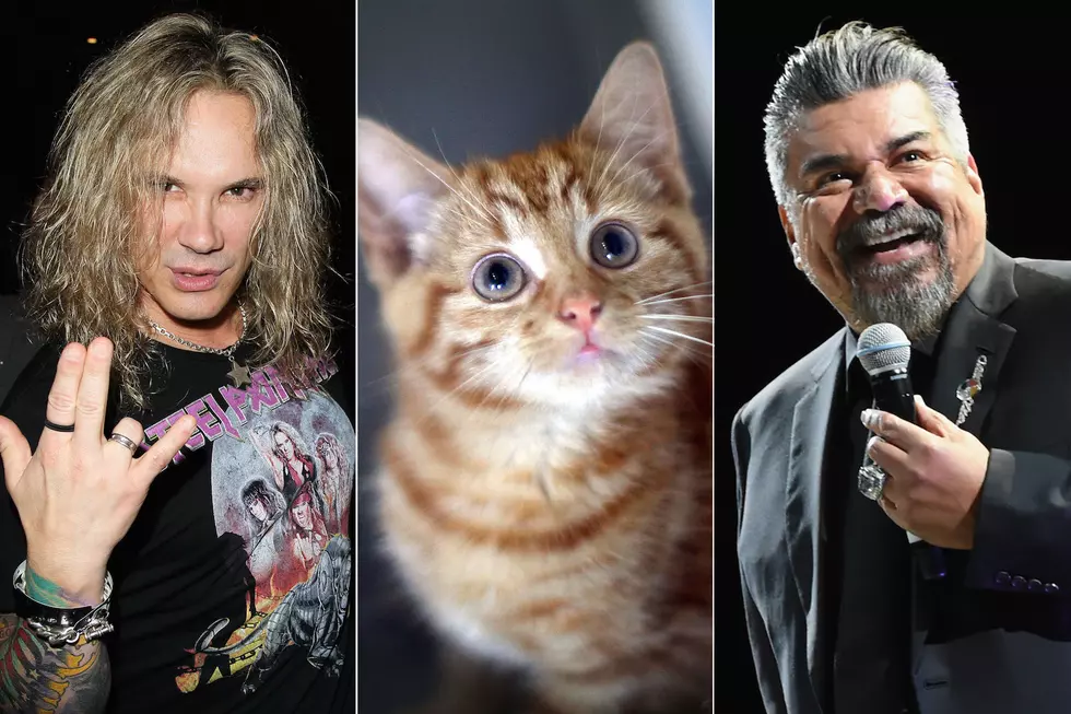Steel Panther Launch Cat Rescue Livestream, Get Surprise From George Lopez