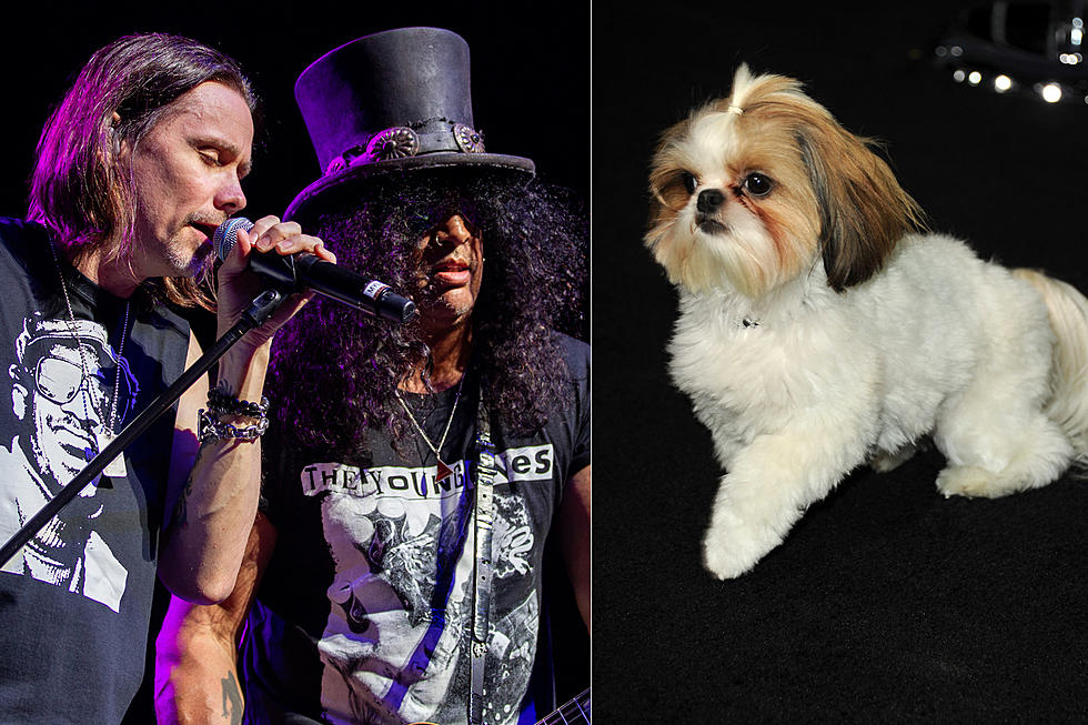 Slash's Latest Single Was Written From the Perspective of a Dog