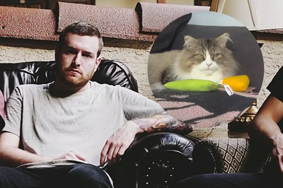 Counterparts Singer Pens Song About Cat's Brush With Death