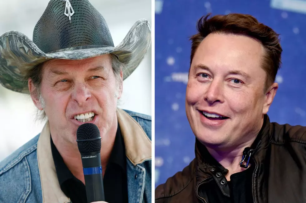 Ted Nugent 'Extremely Suspicious' of Elon Musk Buying Twitter