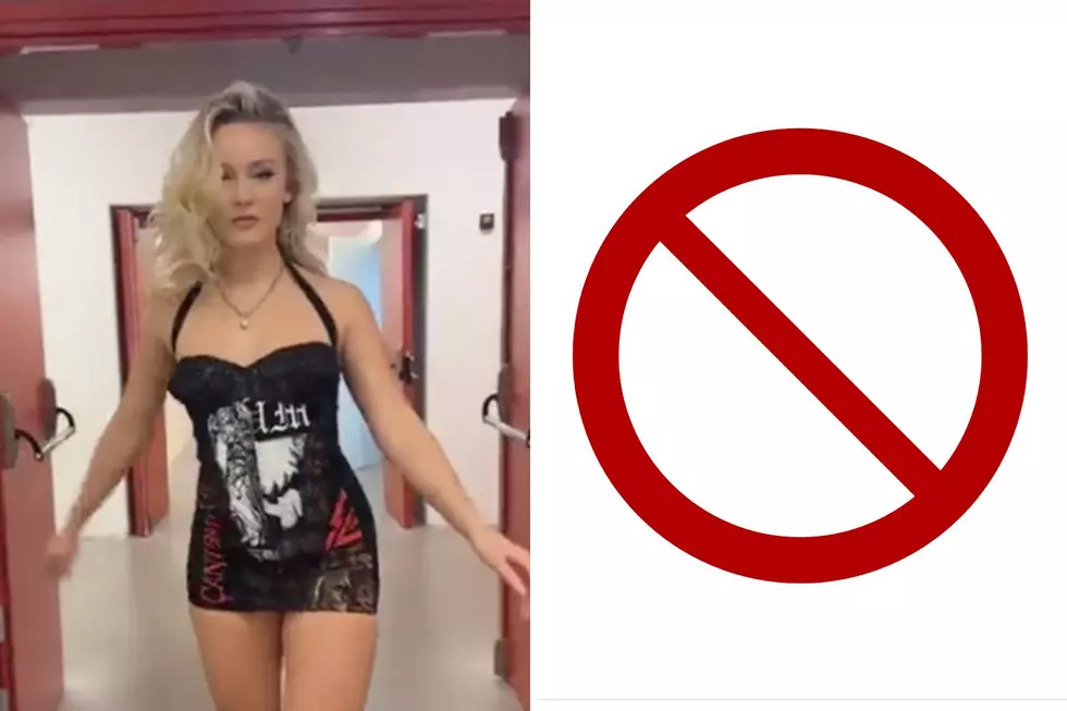 Zara Larsson Accidentally Wears Dress With Artwork From White Supremacist Metal Act: ‘Oopsie’