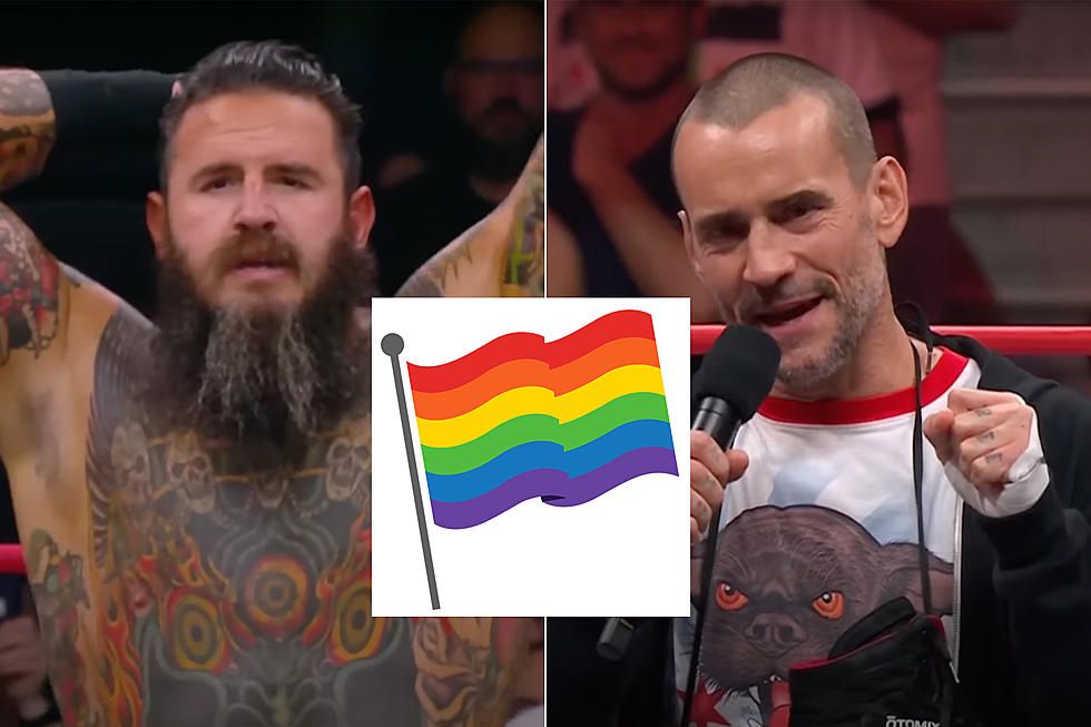 Wrestler's Response to Fan Questioning CM Punk LGBTQ Support