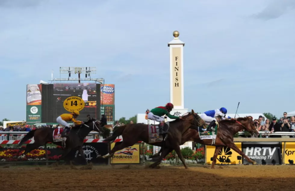 Shackleford Wins Preakness, No Triple Crown This Year