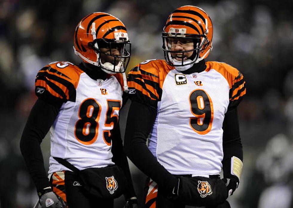 Ochocinco Says Palmer Will Leave Bengals