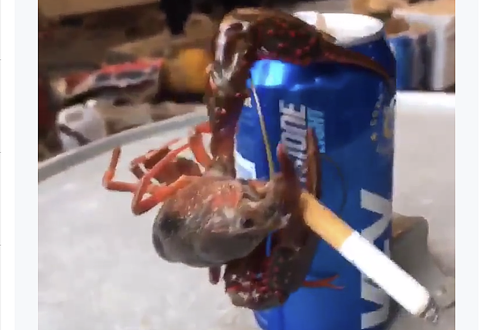 This Crawfish Clinging To A Beer While Holding A Cigarette Is Everything Right Now [VIDEO]