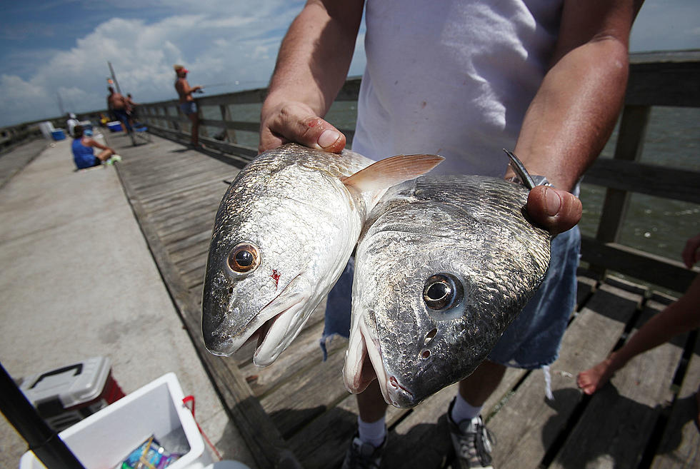 Louisiana Free Fishing Weekend is June 9 & 10