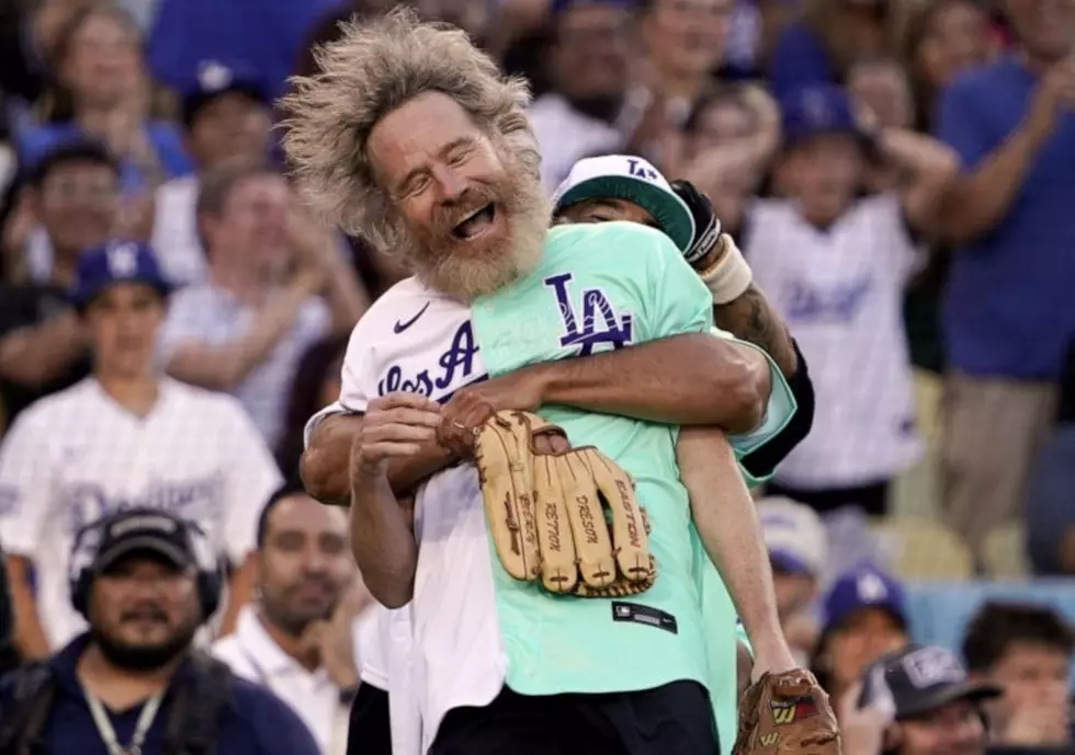 Bryan Cranston Thrown Out Of All-Star Celebrity Softball Game