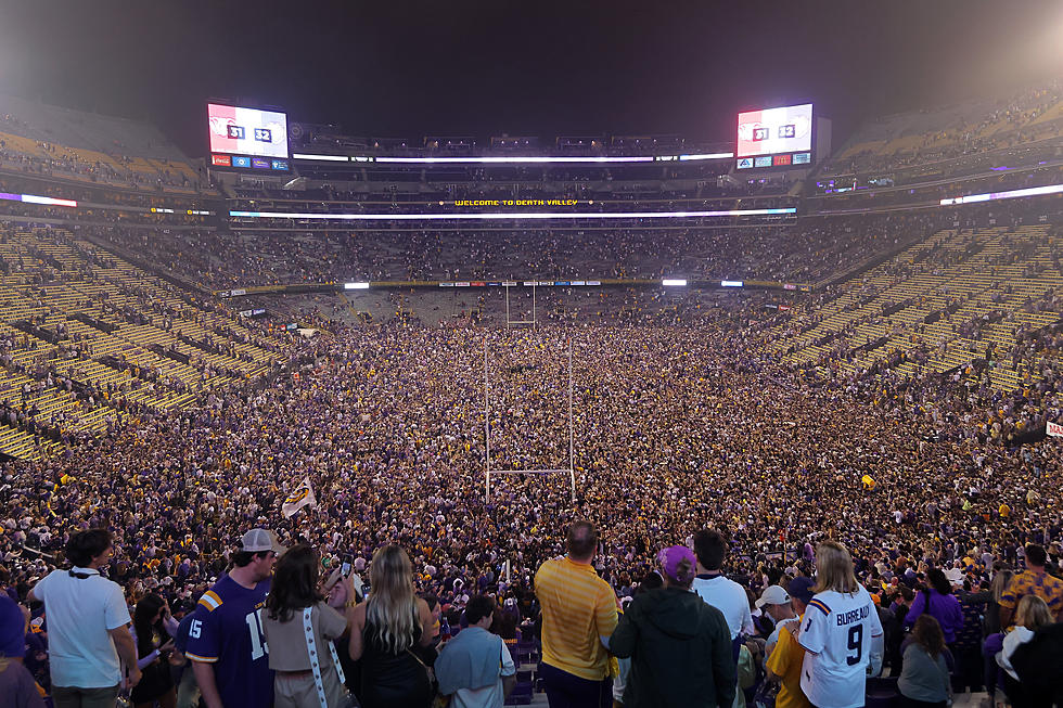 The 5 Most Unhinged Reviews of Tiger Stadium According to Yelp 