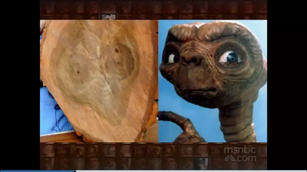 A Man Claims Sees ET’s Image in His Tree [VIDEO]