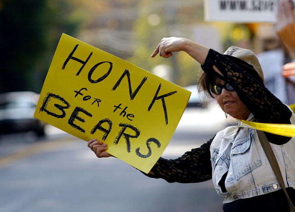 The NJ Bear Hunt: Are You For or Against It? [Poll]