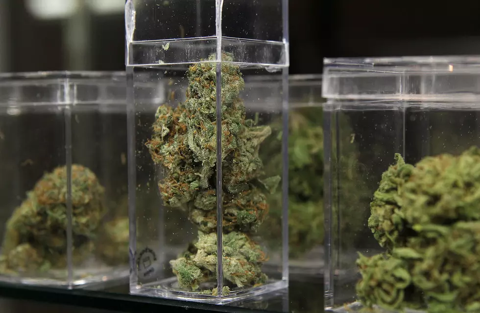 Upper Freehold, As Expected, Blocks A Medical Marijuana Facility