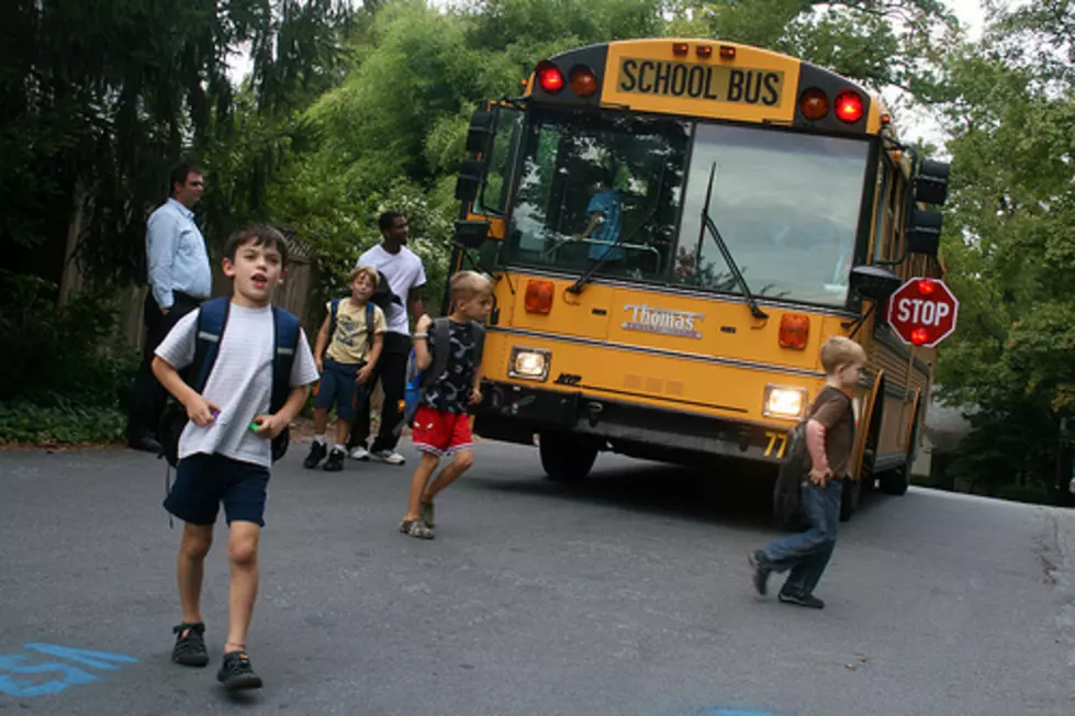 Does Greater Visibility = Greater Safety for NJ School Buses? [POLL]