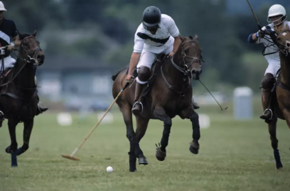 Charity Polo Event Coming to Jersey City
