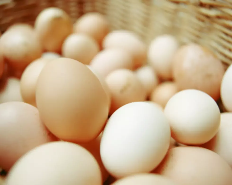 Doctors Using Eggs to Reverse Egg Allergies in Kids