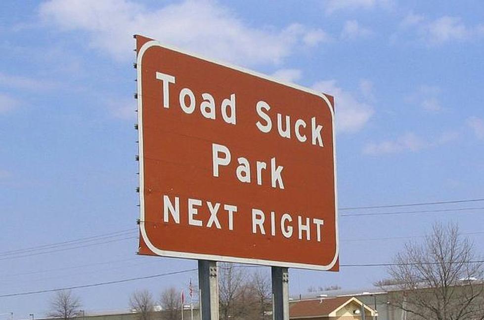 What Are the Worst Town Names in US? Toad Suck, Ark. Tops the List