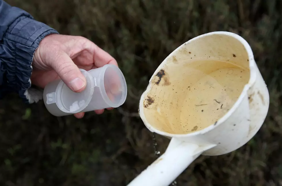 Sandy-Debris a Breeding Ground for Mosquitoes, NJ Officials Warn [AUDIO]