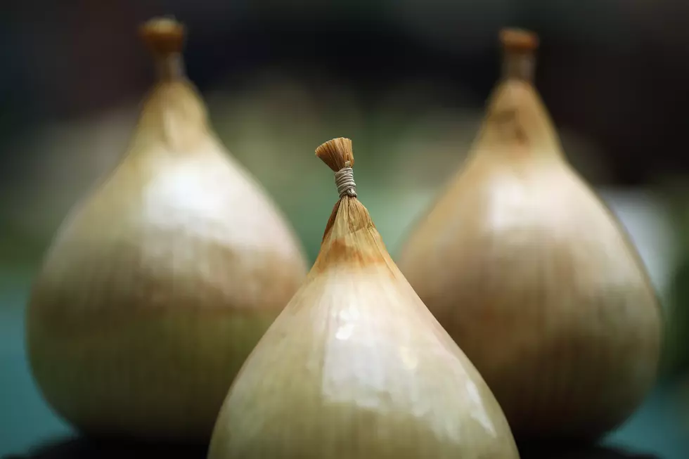 Could Onions Help Prevent the Flu?