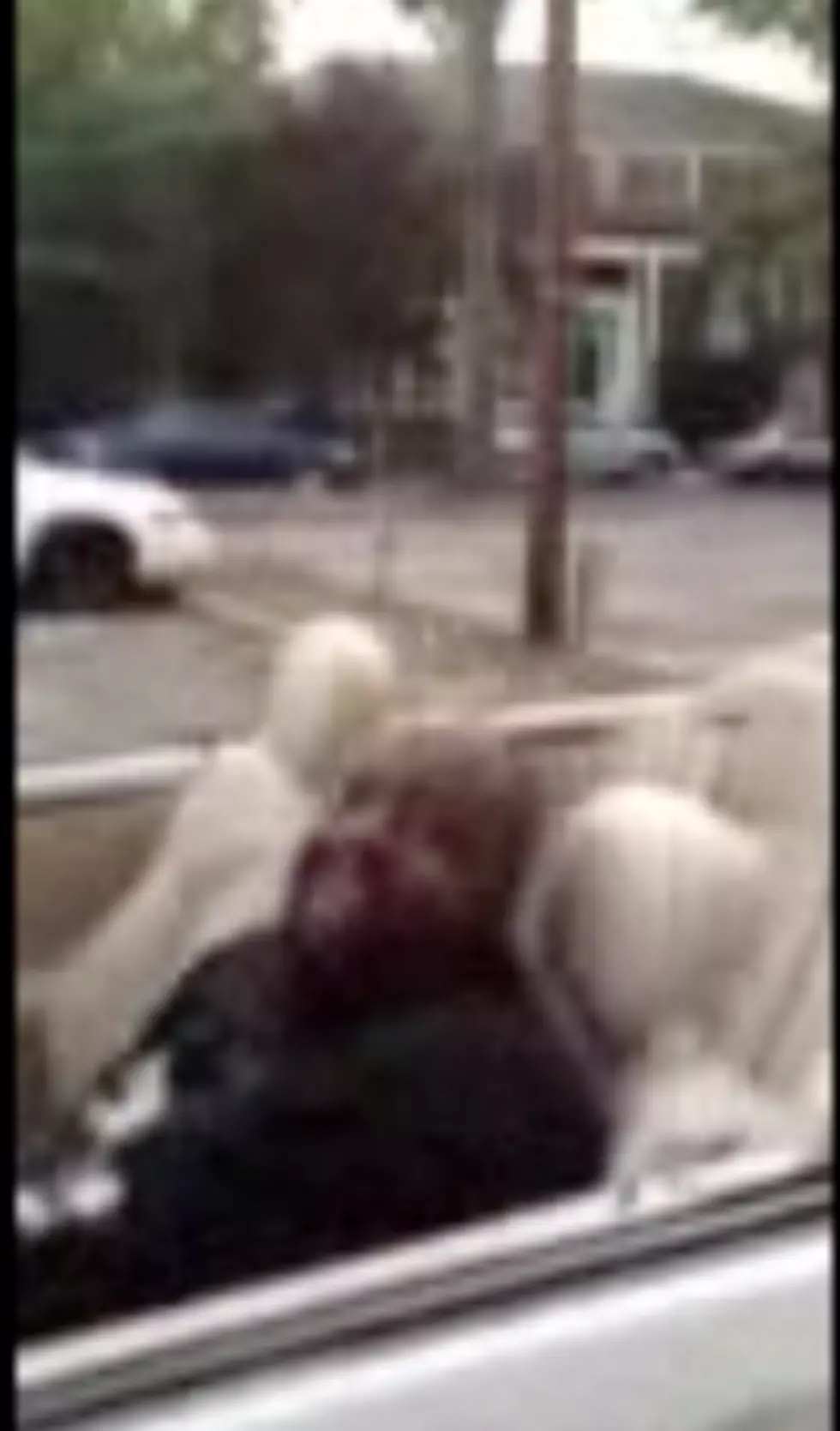 Irvington Cops Make Gangsta Video – Should They be Disciplined? [POLL]