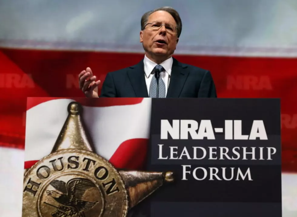 NRA&#8217;s New President Has Penchant For Bold Words [VIDEO]