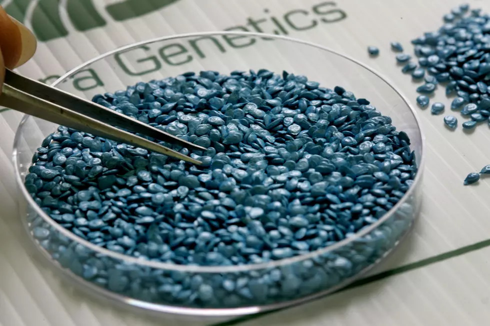 Senate Rejects Genetically Modified Organism Labeling Amendment