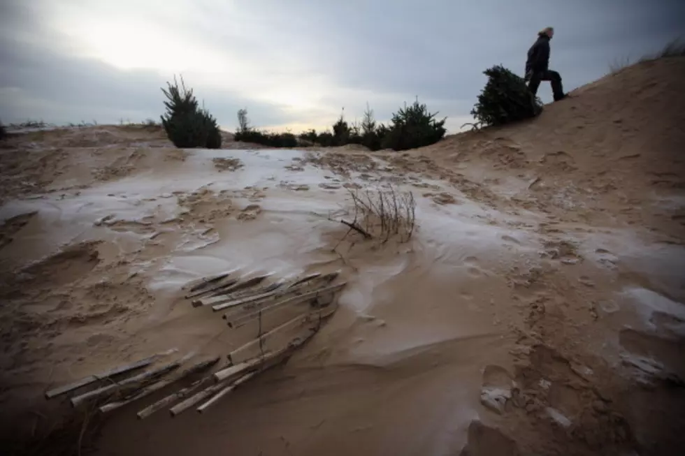 NJ Shore Towns Scramble to Rebuild Dunes After Sandy [SERIES]