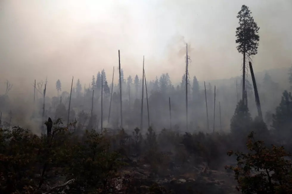 Cooler Temps Expected To Aid Yosemite Firefight [VIDEO]