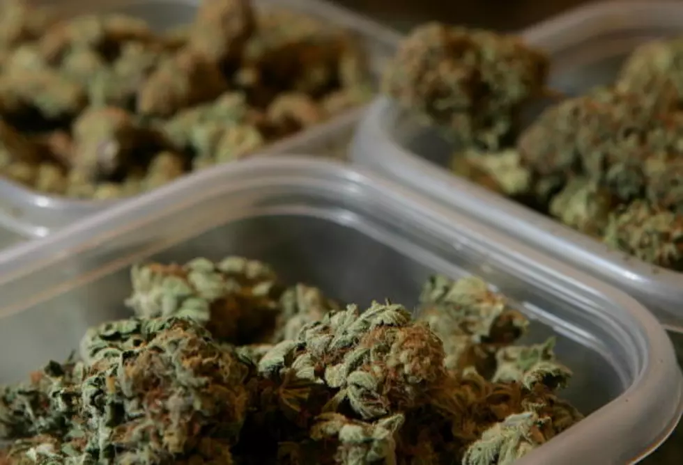 Would You Vote for Legal Possession of Small Amounts of Marijuana? [POLL]