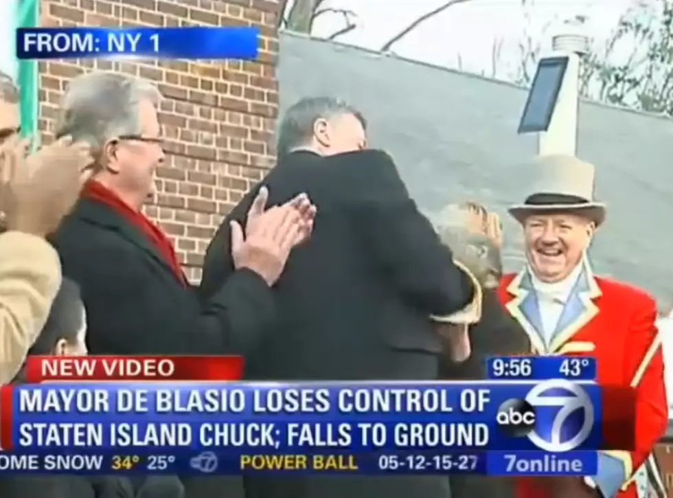 NYC Mayor DeBlasio Drops Groundhog [VIDEO]